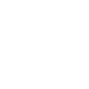 Lazy loaded image